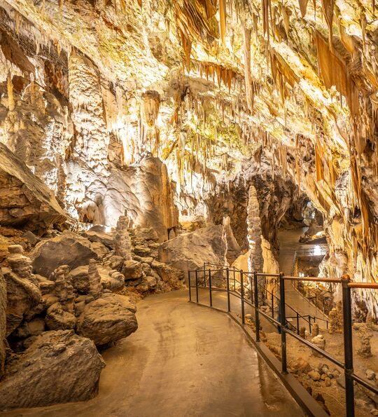 Postojna Cave, Slovenia