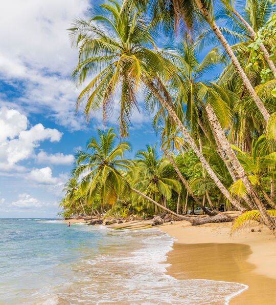 Beautiful beach framed by palm trees in Puerto Viejo, Costa Rica
