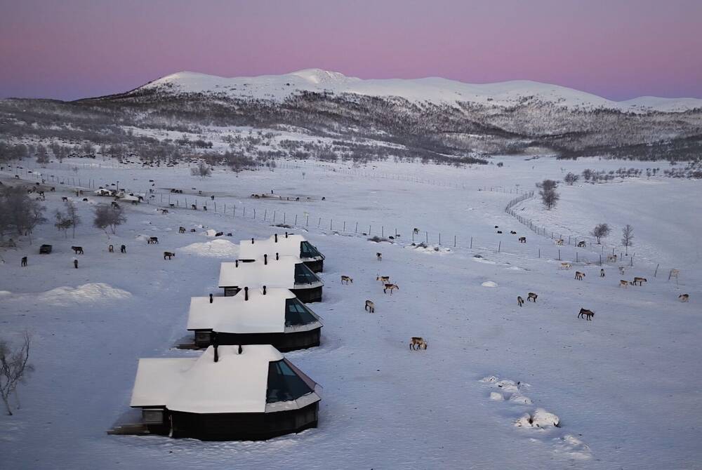 Reindeer Ranch