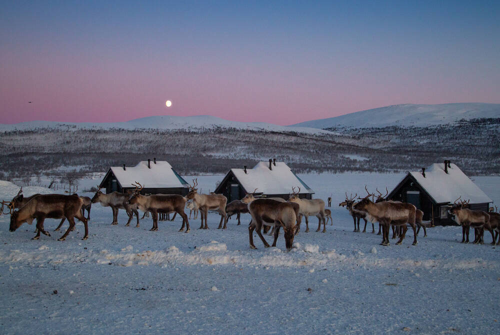 Tromso, Glass Igloos & Northern Lights