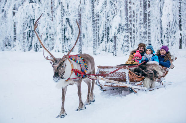 Reindeer sledding near Rovaniemi, Finnish Lapland