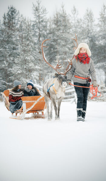 Reindeer sleigh ride