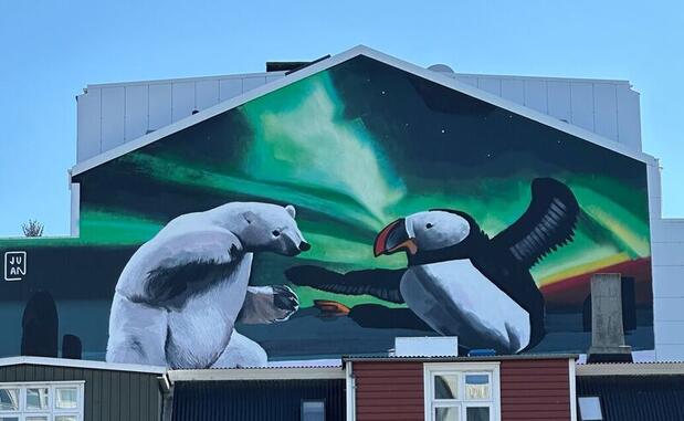 Mural of puffin and polar bear in Reykjavik, Iceland