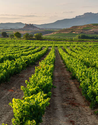 Tastes of San Sebasti&aacute;n, Biarritz and Rioja