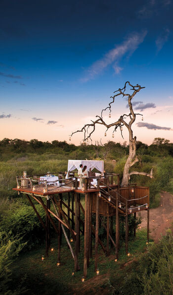 Canopy under the stars at River Lodge in Kruger National Park
