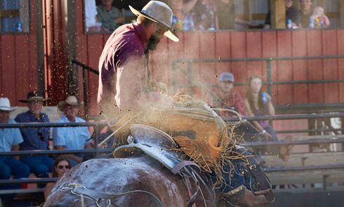 Rodeo culture - Simon Urwin (Traveller 2025)