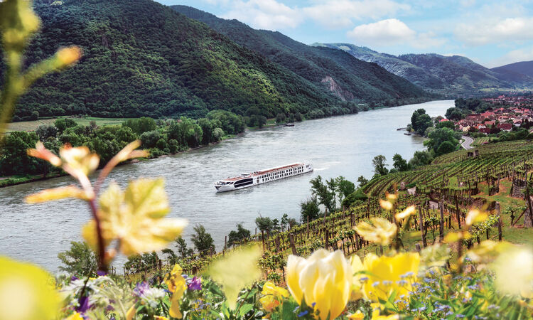 S.S. Maria Theresa, Uniworld