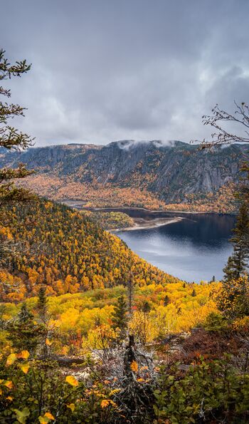 Saguenay Fjord National Park during autumn