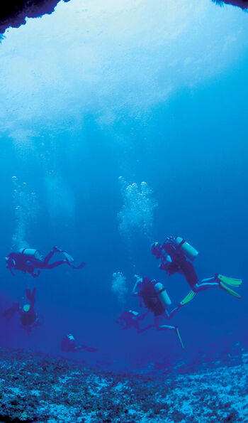 Scuba diving, Desroches Island