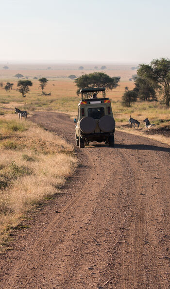 The Big Five can be seen across Kenya