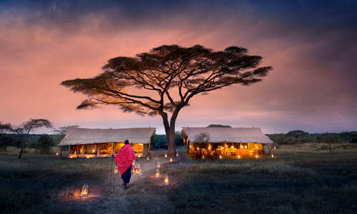 Serengeti Under Canvas