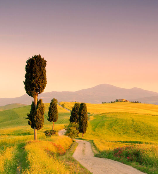 Tuscan countryside
