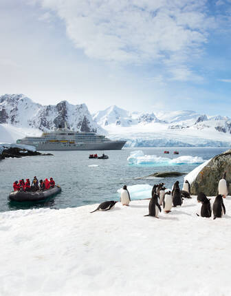 Silver Endeavour, Antarctica
