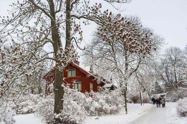 Snow covered trees surround a traditional red building at the Skansen open air museum