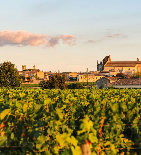 St. Emilion, France
