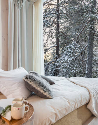Arctic TreeHouse Hotel
