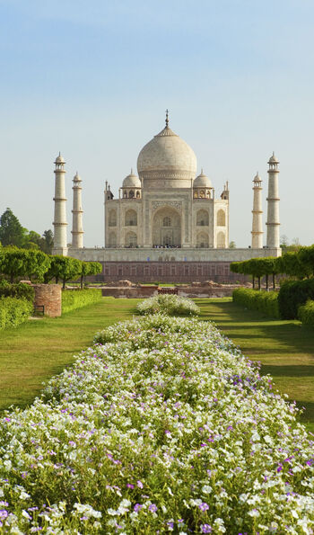 Taj Mahal from the Mehtab Bagh gardens
