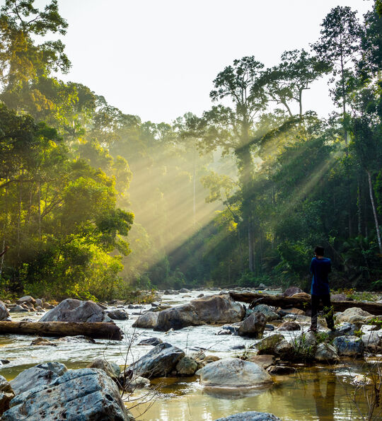 Taman Negara National Park