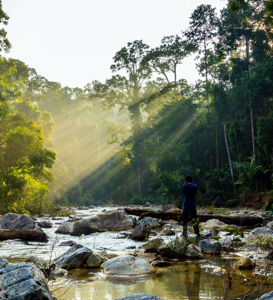 Taman Negara National Park