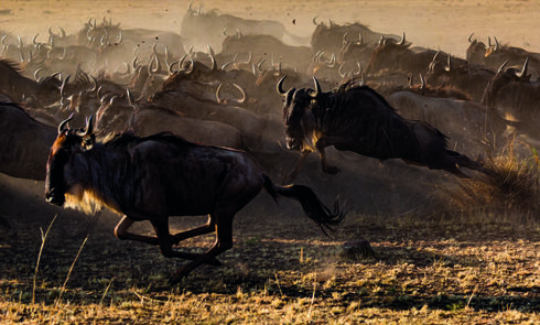 Tanzania, Jonathan & Angela Scott