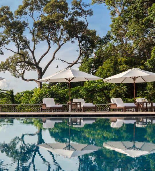 Pool, The Datai