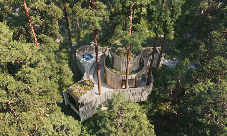 Oasis at Treehotel: a new chapter in the treetops