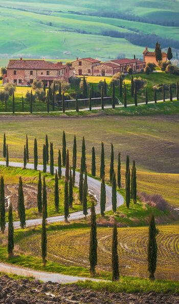Typical Tuscan scenery