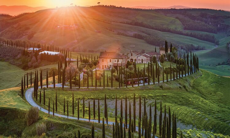 Sunset view of a winding tree-lined road in the Tuscan countryside, Italy