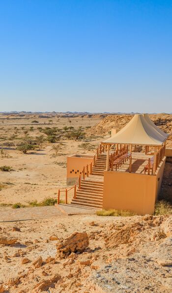 Wadi Dawkah – renowned as the home of the frankincense tree groves