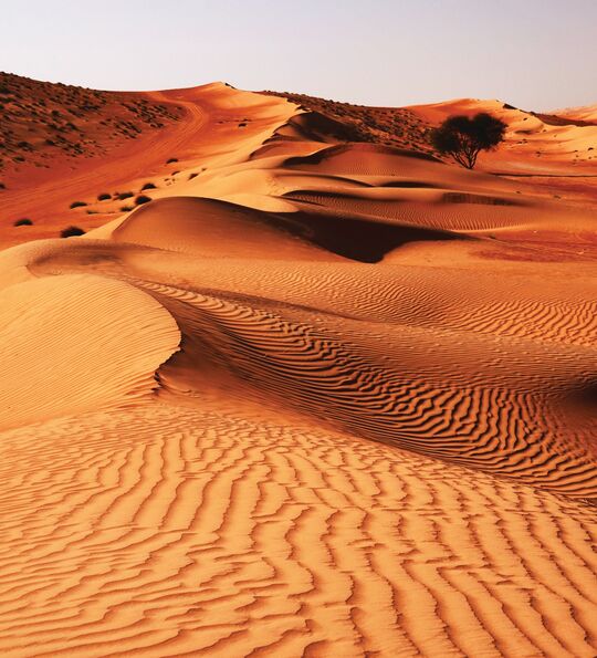 Wahiba Sands, Oman