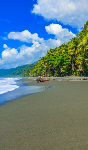 Wild beach at Corcovado Rainforest in Costa Rica