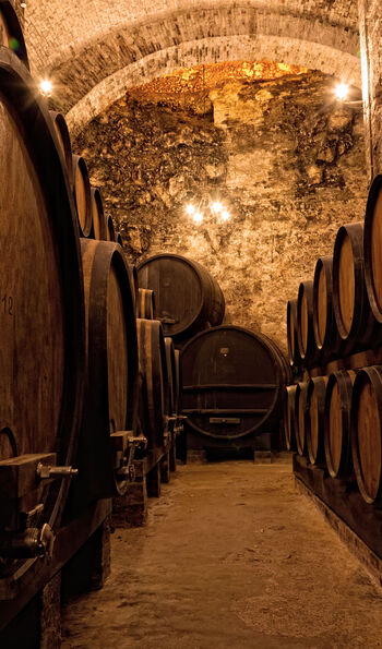 Wine cellar in Tuscany