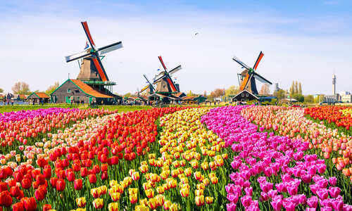 Zaanse Schans, Netherlands