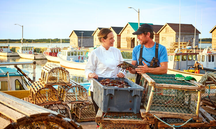 Chef about to cook fresh lobster on the dock beside fishing boats on Prince Edward Island ©TPEI016