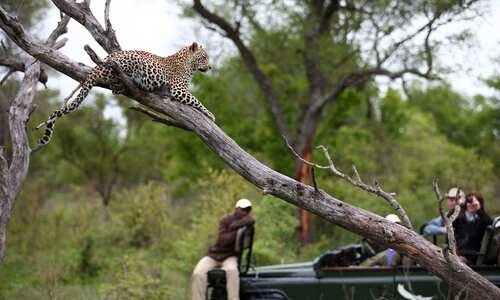 Kirkman's Kamp, Sabi Sands Game Reserve, South Africa