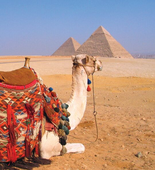The Pyramids of Giza with a camel in the foreground and a glimpse of Cairo beyond