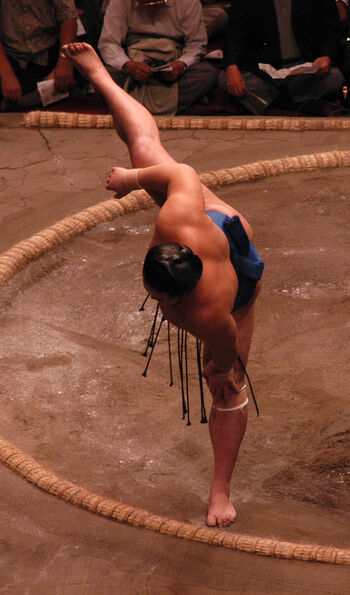 Sumo stable